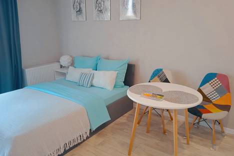 1-комнатная квартира в Шушарах, Новгородский пр-кт, 2к3