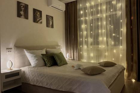 Однокомнатная квартира в аренду посуточно в Рязани по адресу р-н  Канищево, Интернациональная ул.