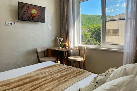 1-комнатная квартира в Агое, гостиничный комплекс Радуга, 10И