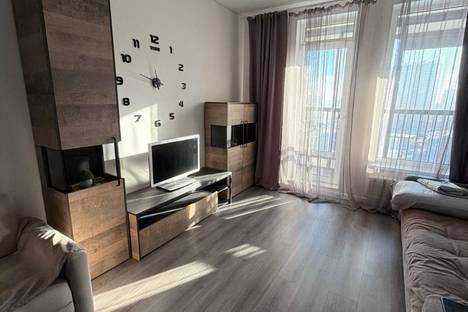 1-комнатная квартира в Санкт-Петербурге, Санкт-Петербург, Дальневосточный пр-кт, 19к1