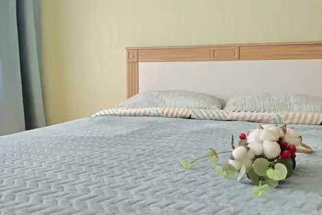 2-комнатная квартира в Ижевске, Ижевск, 9-я Подлесная ул., 6