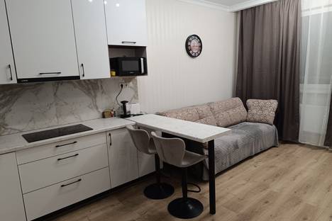 1-комнатная квартира в Андреевке, д.38а