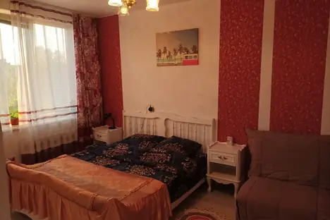 1-комнатная квартира в Санкт-Петербурге, Будапештская ул., 66к1