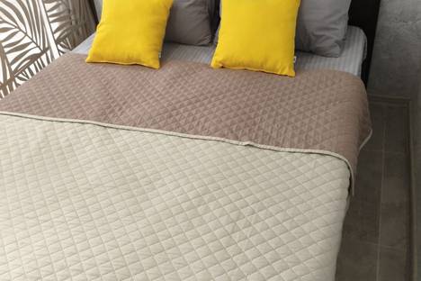 1-комнатная квартира в Сириусе, Сириус, Цветочная ул., 44/3