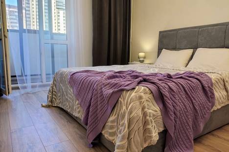 1-комнатная квартира в Воронеже, ул. Загоровского, 13к2