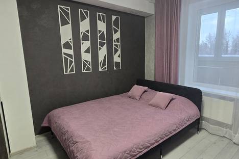 Однокомнатная квартира в аренду посуточно в Нягани по адресу 6-й мкр., жилой комплекс Эмдер