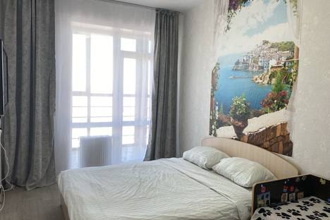 Однокомнатная квартира в аренду посуточно в Перми по адресу ул. Фридриха Энгельса, 27