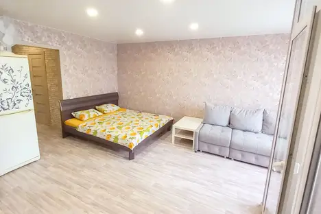 1-комнатная квартира в Новосибирске, Немировича-Данченко 156