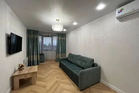 1-комнатная квартира в Адлере, Адлер, ул. Ленина, 298Бк5