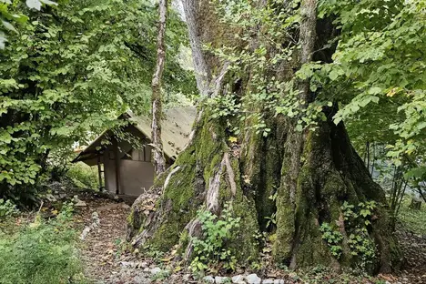 Комната в Городском округе Сочи, Успенская ул., 1Г