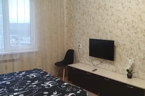 1-комнатная квартира в Нижнем Новгороде, Южный б-р, 6