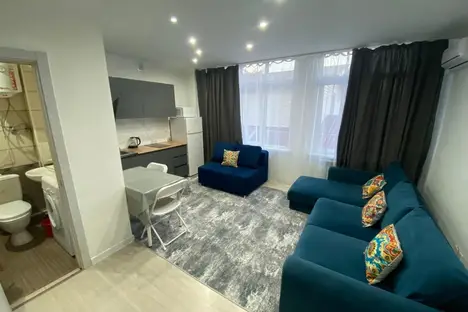 1-комнатная квартира в Сочи, Сочи, мкр. Светлана, ул. Лысая Гора, 27/23