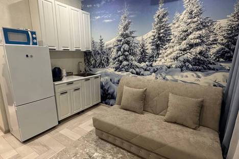 1-комнатная квартира в Шерегеше, Шерегеш, Гагарина 51/3