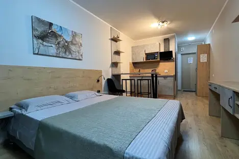 1-комнатная квартира в Парголове, Парголово, Толубеевский пр-д, 8к2