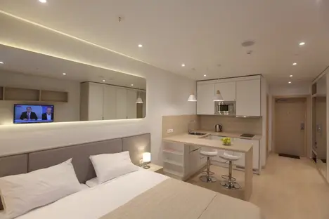 1-комнатная квартира в Санкт-Петербурге, Социалистическая ул., 21, м. Лиговский проспект