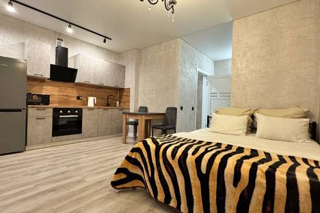 1-комнатная квартира в Ростове-на-Дону, Нахичевань, ул. 26-я лн., 35/1