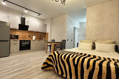 1-комнатная квартира в Ростове-на-Дону, Нахичевань, ул. 26-я лн., 35/1