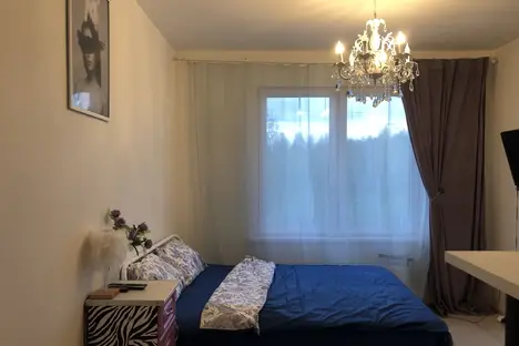 1-комнатная квартира в Екатеринбурге, Екатеринбург, ул. Зелёный ост-в, 12
