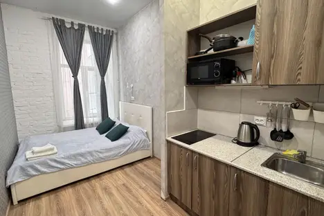 1-комнатная квартира в Санкт-Петербурге, Санкт-Петербург, Лиговский пр-кт, 121, м. Лиговский проспект