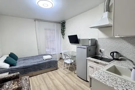 1-комнатная квартира в Санкт-Петербурге, Рузовская ул., 33, м. Пушкинская
