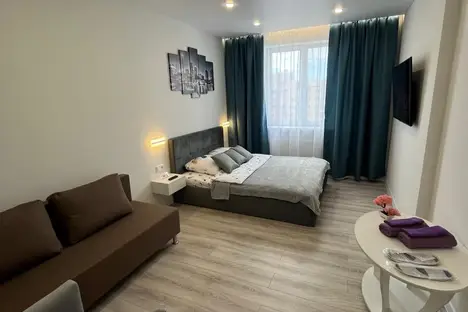 1-комнатная квартира в Кингисеппе, Крикковское ш., 20