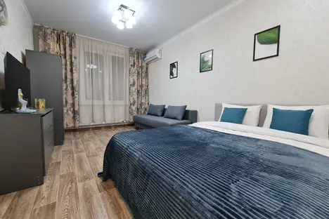 1-комнатная квартира в Ростове-на-Дону, Ростов-на-Дону, пр-кт Солженицына, 13