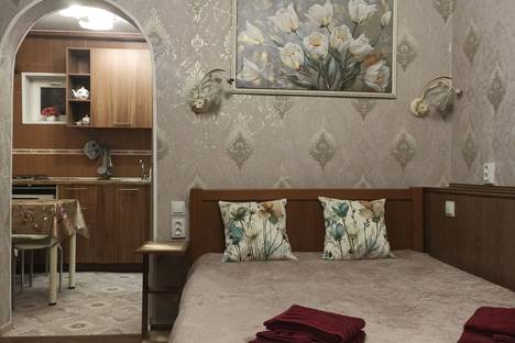 Однокомнатная квартира в аренду посуточно в Кисловодске по адресу ул. Чернышевского, 16