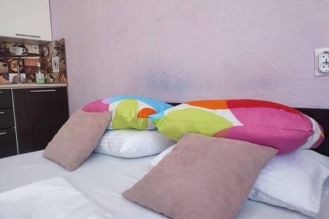 1-комнатная квартира в Нижнем Новгороде, Бурнаковская ул., 69