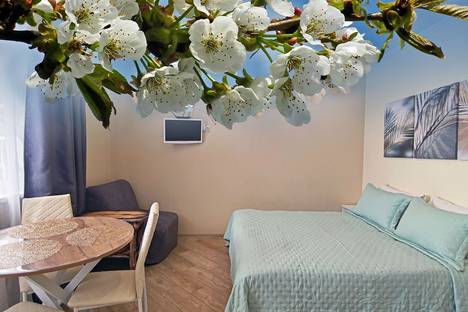 Однокомнатная квартира в аренду посуточно в Красной Поляне по адресу Вознесенская ул., 24