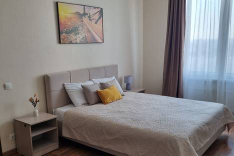 Однокомнатная квартира в аренду посуточно в Санкт-Петербурге по адресу Южное ш., 55к4