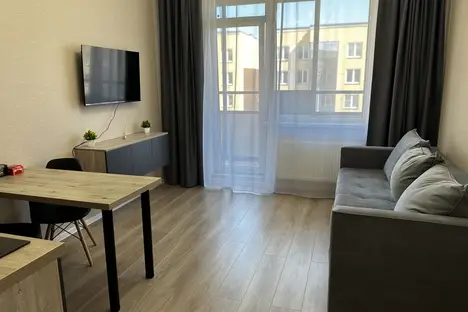 1-комнатная квартира в Стрельне, пр-кт Будённого, 24к3