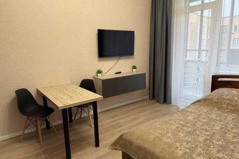 1-комнатная квартира в Стрельне, пр-кт Будённого, 24к3