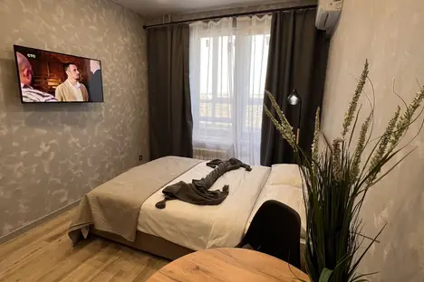 1-комнатная квартира в Пензе, ул. Шмидта, 24