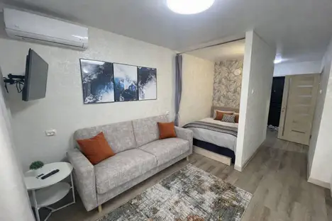 1-комнатная квартира во Владивостоке, Первореченский р-н , ул. Анны Щетининой, 14