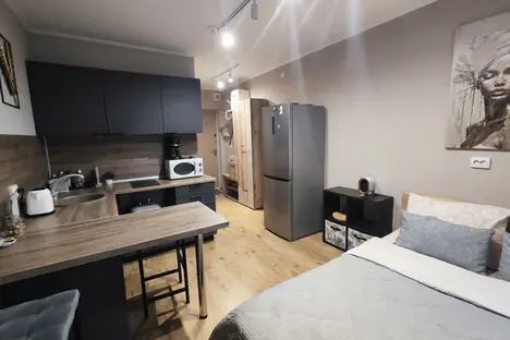 1-комнатная квартира в Парголове, Толубеевский пр-д, 8к2