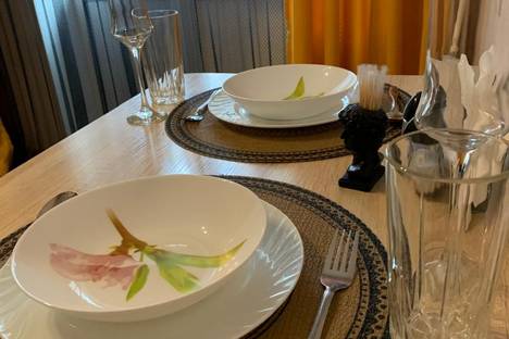 Однокомнатная квартира в аренду посуточно в Воронеже по адресу ул. Маршала Одинцова, 25Б/7