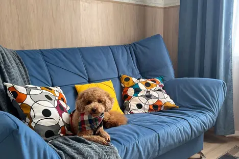 1-комнатная квартира в Краснодаре, Центральный внутригородской округ, мкр. Центральный, ул. Кирова, 70