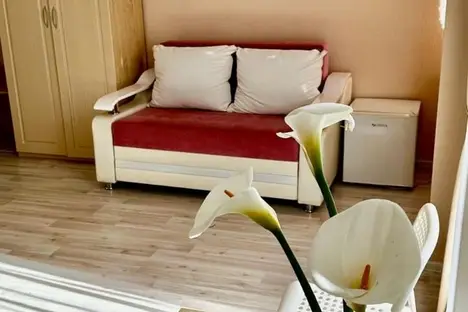 Комната в Адлере, Аллейная ул., 12