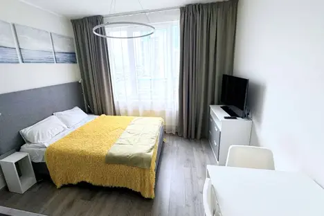 1-комнатная квартира в Санкт-Петербурге, Витебский пр-кт, 101к1, м. Купчино