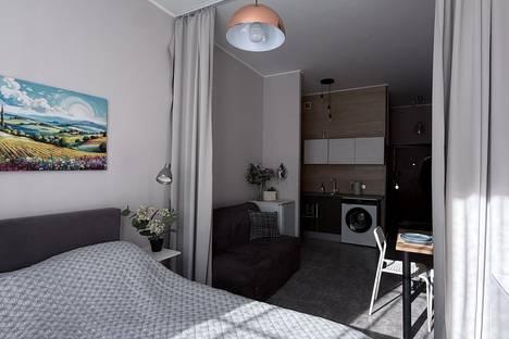 1-комнатная квартира в Санкт-Петербурге, Московский пр-кт, 183-185Бк9А, м. Московская