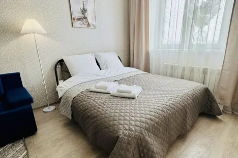 1-комнатная квартира в Омске, Светловская ул., 4