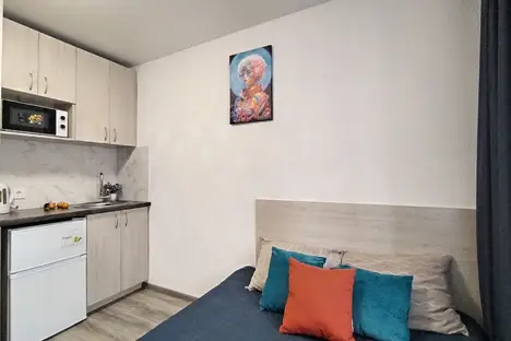 1-комнатная квартира во Владивостоке, Владивосток, ул. Захарова, 5 1-комнатная квартира во Владивостоке, Владивосток, ул. Захарова, 5