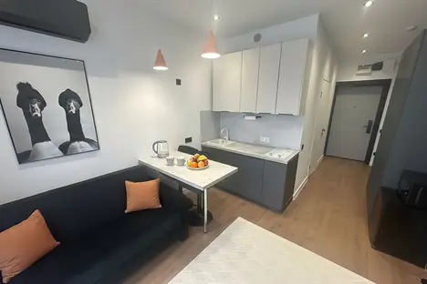 1-комнатная квартира в Москве, Окружной пр-д, 10Б