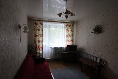 1-комнатная квартира в Сосновом Боре, Ленинградская ул., 1