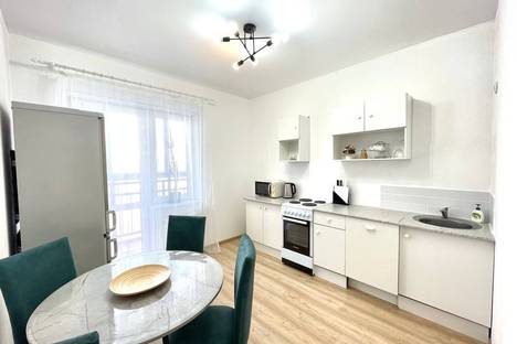 1-комнатная квартира в Екатеринбурге, Екатеринбург, ул. Академика Ландау, 35