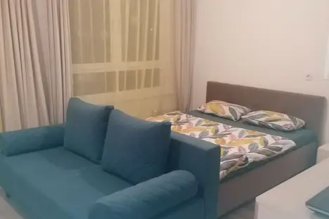 1-комнатная квартира в Московской области, Ленинский г.о., пгт. Мисайлово, Пригородное ш., 18