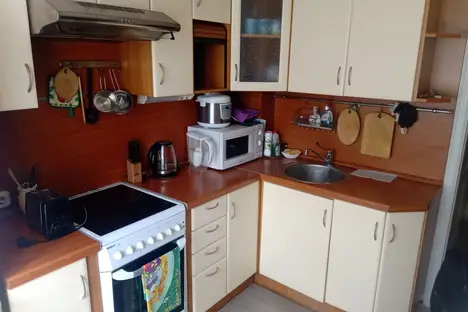 2-комнатная квартира в Санкт-Петербурге, Гаккелевская ул., 20к1А