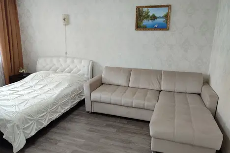 1-комнатная квартира в Чебоксарах, Радужная ул., 11