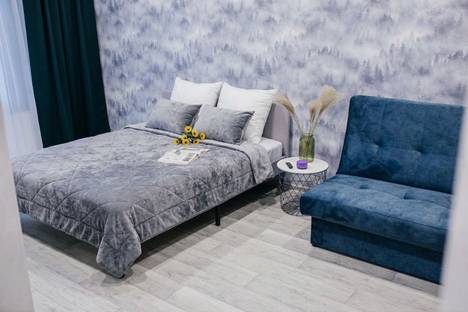 1-комнатная квартира в Челябинске, наб. Героя России С.А. Кислова, 23