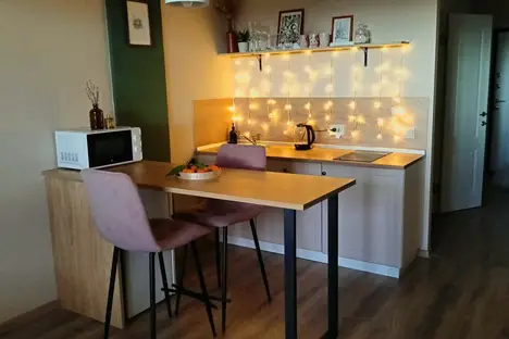 1-комнатная квартира в Пскове, исторический р-н  Овсище, Прибрежный пр-д, 2